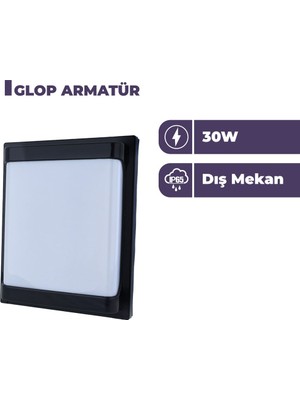 Zeyrise 30W Carpo Siyah Glop Armatür 6500K Beyaz Işık