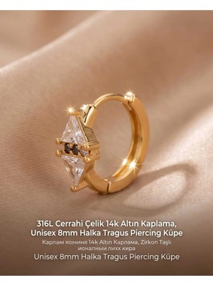 Begonia Accessories 316L Cerrahi Çelik Altın Kaplama Kararmaz Alerji Yapmaz Zirkon Taş Figür Unisex Tragus Helix Küpe PIERCING-238A-6