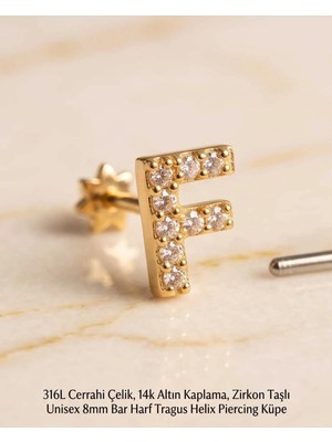 Begonia Accessories 316L Cerrahi Çelik Altın Kaplama Kararmaz Alerji Yapmaz Zirkon Taş Figür Unisex Tragus Helix Küpe PIERCING-238B-24