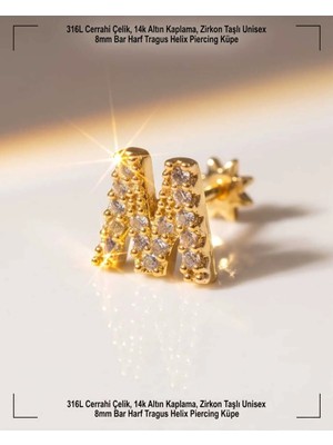 Begonia Accessories 316L Cerrahi Çelik Altın Kaplama Kararmaz Alerji Yapmaz Zirkon Taş Figür Unisex Tragus Helix Küpe PIERCING-238B-32