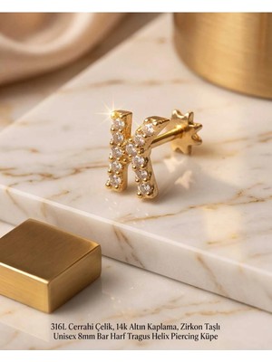 Begonia Accessories 316L Cerrahi Çelik Altın Kaplama Kararmaz Alerji Yapmaz Zirkon Taş Figür Unisex Tragus Helix Küpe PIERCING-238B-9