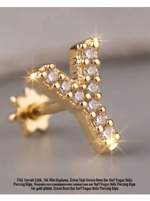 Begonia Accessories 316L Cerrahi Çelik Altın Kaplama Kararmaz Alerji Yapmaz Zirkon Taş Figür Unisex Tragus Helix Küpe PIERCING-238B-6