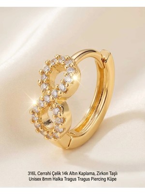 Begonia Accessories 316L Cerrahi Çelik Altın Kaplama Kararmaz Alerji Yapmaz Zirkon Taş Figür Unisex Tragus Helix Küpe PIERCING-238A-16