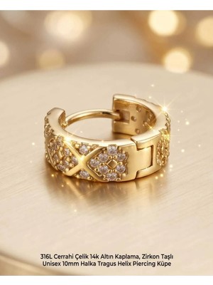 Begonia Accessories 316L Cerrahi Çelik Altın Kaplama Kararmaz Alerji Yapmaz Zirkon Taş Figür Unisex Tragus Helix Küpe PIERCING-238B-20