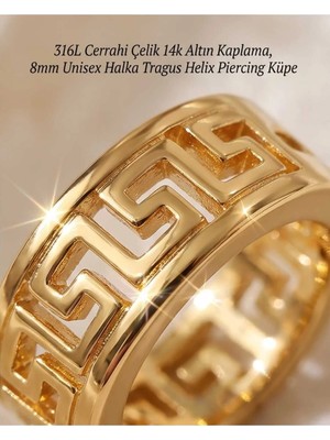 Begonia Accessories 316L Cerrahi Çelik Altın Kaplama Kararmaz Alerji Yapmaz Zirkon Taş Figür Unisex Tragus Helix Küpe PIERCING-238B-15