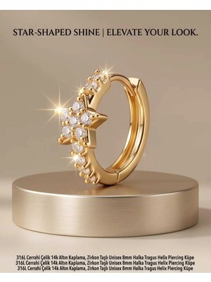 Begonia Accessories 316L Cerrahi Çelik Altın Kaplama Kararmaz Alerji Yapmaz Zirkon Taş Figür Unisex Tragus Helix Küpe PIERCING-238A-21