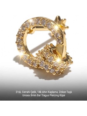 Begonia Accessories 316L Cerrahi Çelik Altın Kaplama Kararmaz Alerji Yapmaz Zirkon Taş Figür Unisex Tragus Helix Küpe PIERCING-238B-1