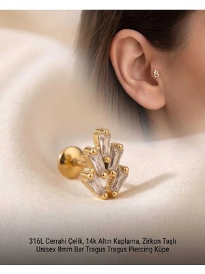 Begonia Accessories 316L Cerrahi Çelik Altın Kaplama Kararmaz Alerji Yapmaz Zirkon Taş Figür Unisex Tragus Helix Küpe PIERCING-238B-16