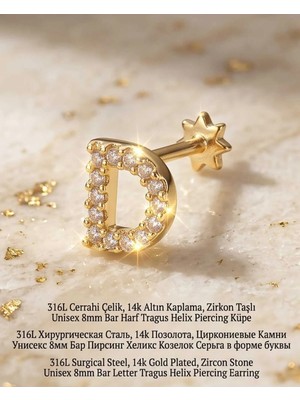 Begonia Accessories 316L Cerrahi Çelik Altın Kaplama Kararmaz Alerji Yapmaz Zirkon Taş Figür Unisex Tragus Helix Küpe PIERCING-238B-34