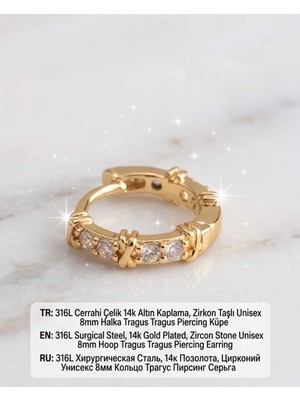 Begonia Accessories 316L Cerrahi Çelik Altın Kaplama Kararmaz Alerji Yapmaz Zirkon Taş Figür Unisex Tragus Helix Küpe PIERCING-238A-15