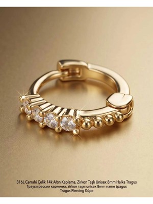 Begonia Accessories 316L Cerrahi Çelik Altın Kaplama Kararmaz Alerji Yapmaz Zirkon Taş Figür Unisex Tragus Helix Küpe PIERCING-238A-36