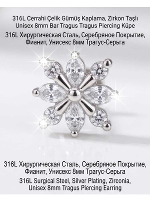 Begonia Accessories 316L Cerrahi Çelik Gümüş Kaplama Kararmaz Alerji Yapmaz Zirkon Taş Figür Unisex Tragus Helix Küpe PIERCING-238-22