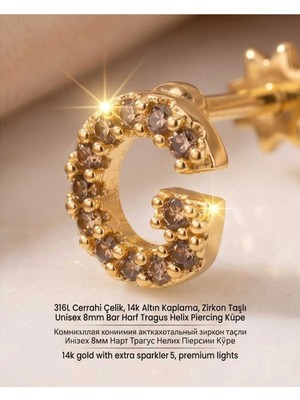 Begonia Accessories 316L Cerrahi Çelik Altın Kaplama Kararmaz Alerji Yapmaz Zirkon Taş Figür Unisex Tragus Helix Küpe PIERCING-238B-13