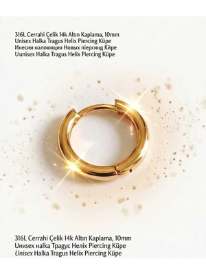 Begonia Accessories 316L Cerrahi Çelik Altın Kaplama Kararmaz Alerji Yapmaz Zirkon Taş Figür Unisex Tragus Helix Küpe PIERCING-238B-11