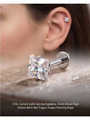 Begonia Accessories 316L Cerrahi Çelik Gümüş Kaplama Kararmaz Alerji Yapmaz Zirkon Taş Figür Unisex Tragus Helix Küpe PIERCING-238-23