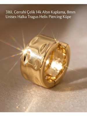 Begonia Accessories 316L Cerrahi Çelik Altın Kaplama Kararmaz Alerji Yapmaz Zirkon Taş Figür Unisex Tragus Helix Küpe PIERCING-238B-31
