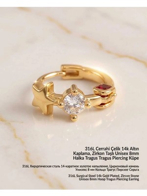Begonia Accessories 316L Cerrahi Çelik Altın Kaplama Kararmaz Alerji Yapmaz Zirkon Taş Figür Unisex Tragus Helix Küpe PIERCING-238A-19