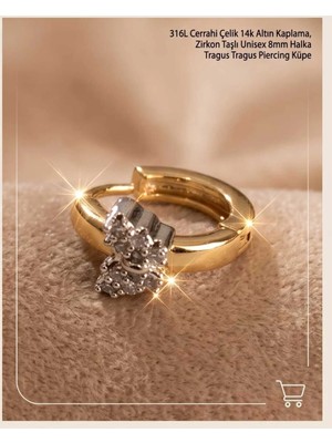 Begonia Accessories 316L Cerrahi Çelik Altın Kaplama Kararmaz Alerji Yapmaz Zirkon Taş Figür Unisex Tragus Helix Küpe PIERCING-238A-1