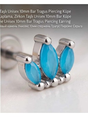 Begonia Accessories 316L Cerrahi Çelik Gümüş Kaplama Kararmaz Alerji Yapmaz Zirkon Taş Figür Unisex Tragus Helix Küpe PIERCING-238-2