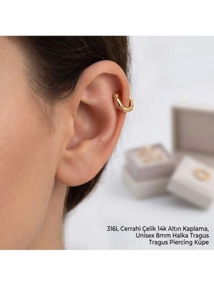 Begonia Accessories 316L Cerrahi Çelik Altın Kaplama Kararmaz Alerji Yapmaz Zirkon Taş Figür Unisex Tragus Helix Küpe PIERCING-238A-9