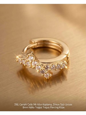 Begonia Accessories 316L Cerrahi Çelik Altın Kaplama Kararmaz Alerji Yapmaz Zirkon Taş Figür Unisex Tragus Helix Küpe PIERCING-238A-20