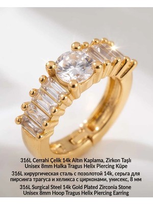 Begonia Accessories 316L Cerrahi Çelik Altın Kaplama Kararmaz Alerji Yapmaz Zirkon Taş Figür Unisex Tragus Helix Küpe PIERCING-238A-2