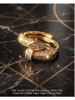 Begonia Accessories 316L Cerrahi Çelik Altın Kaplama Kararmaz Alerji Yapmaz Zirkon Taş Figür Unisex Tragus Helix Küpe PIERCING-238A-24
