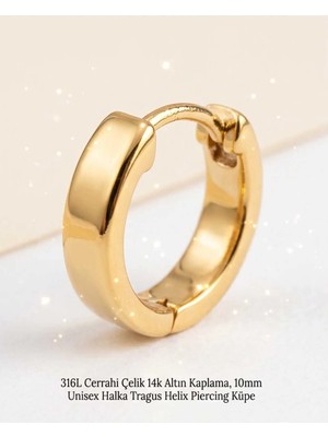 Begonia Accessories 316L Cerrahi Çelik Altın Kaplama Kararmaz Alerji Yapmaz Zirkon Taş Figür Unisex Tragus Helix Küpe PIERCING-238B-22