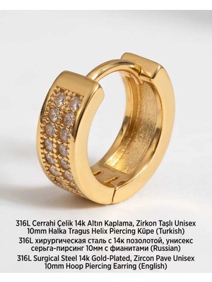 Begonia Accessories 316L Cerrahi Çelik Altın Kaplama Kararmaz Alerji Yapmaz Zirkon Taş Figür Unisex Tragus Helix Küpe PIERCING-238B-4