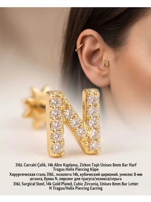 Begonia Accessories 316L Cerrahi Çelik Altın Kaplama Kararmaz Alerji Yapmaz Zirkon Taş Figür Unisex Tragus Helix Küpe PIERCING-238B-33