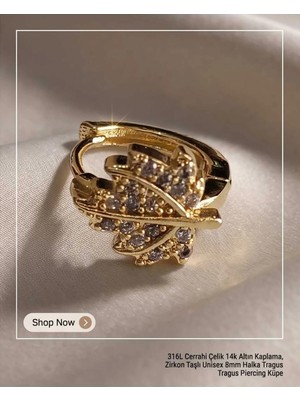 Begonia Accessories 316L Cerrahi Çelik Altın Kaplama Kararmaz Alerji Yapmaz Zirkon Taş Figür Unisex Tragus Helix Küpe PIERCING-238A-5
