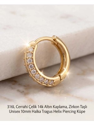 Begonia Accessories 316L Cerrahi Çelik Altın Kaplama Kararmaz Alerji Yapmaz Zirkon Taş Figür Unisex Tragus Helix Küpe PIERCING-238B-35