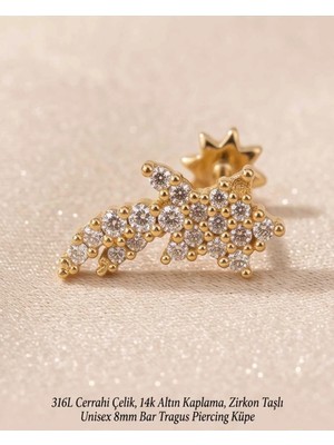 Begonia Accessories 316L Cerrahi Çelik Altın Kaplama Kararmaz Alerji Yapmaz Zirkon Taş Figür Unisex Tragus Helix Küpe PIERCING-238B-30