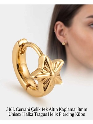 Begonia Accessories 316L Cerrahi Çelik Altın Kaplama Kararmaz Alerji Yapmaz Zirkon Taş Figür Unisex Tragus Helix Küpe PIERCING-238B-18