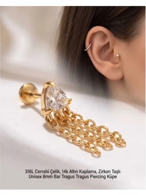 Begonia Accessories 316L Cerrahi Çelik Altın Kaplama Kararmaz Alerji Yapmaz Zirkon Taş Figür Unisex Tragus Helix Küpe PIERCING-238B-8
