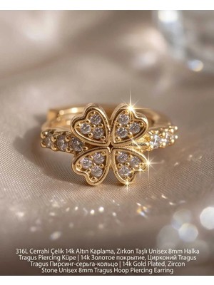 Begonia Accessories 316L Cerrahi Çelik Altın Kaplama Kararmaz Alerji Yapmaz Zirkon Taş Figür Unisex Tragus Helix Küpe PIERCING-238A-32