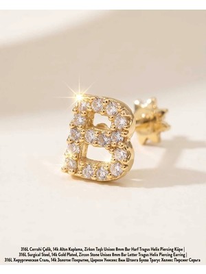 Begonia Accessories 316L Cerrahi Çelik Altın Kaplama Kararmaz Alerji Yapmaz Zirkon Taş Figür Unisex Tragus Helix Küpe PIERCING-238B-21