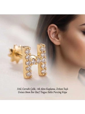 Begonia Accessories 316L Cerrahi Çelik Altın Kaplama Kararmaz Alerji Yapmaz Zirkon Taş Figür Unisex Tragus Helix Küpe PIERCING-238B-28