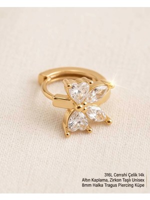 Begonia Accessories 316L Cerrahi Çelik Altın Kaplama Kararmaz Alerji Yapmaz Zirkon Taş Figür Unisex Tragus Helix Küpe PIERCING-238A-22