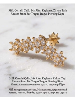 Begonia Accessories 316L Cerrahi Çelik Altın Kaplama Kararmaz Alerji Yapmaz Zirkon Taş Figür Unisex Tragus Helix Küpe PIERCING-238B-19