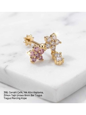 Begonia Accessories 316L Cerrahi Çelik Altın Kaplama Kararmaz Alerji Yapmaz Zirkon Taş Figür Unisex Tragus Helix Küpe PIERCING-238B-29