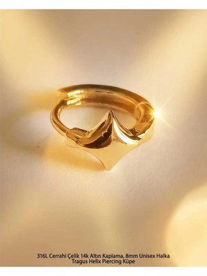 Begonia Accessories 316L Cerrahi Çelik Altın Kaplama Kararmaz Alerji Yapmaz Zirkon Taş Figür Unisex Tragus Helix Küpe PIERCING-238B-37