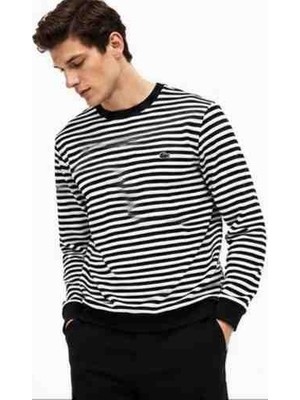 Lacoste Bisiklet Yaka Çizgili Regular Fit Siyah