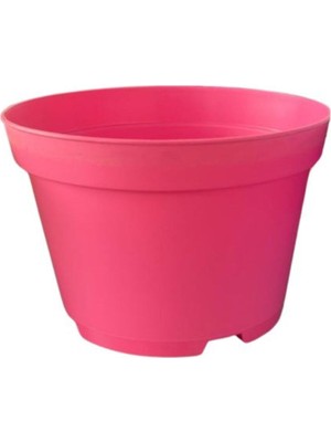 Esranın Dünyası Bitkim Sende Katı Plastik Sukulent Saksısı, 15 Adet, Pembe, 8,5 cm