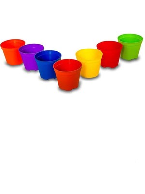 Esranın Dünyası Katı Plastik Sukulent Saksısı 15 Adet Açık Yeşil (5.5 Cm), MKR012032428