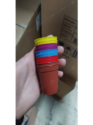 Esranın Dünyası Bitkim Sende Katı Plastik Sukulent Saksısı 20 Adet, 5.5 Cm, Turuncu