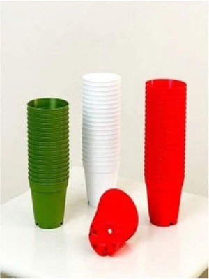 Esranın Dünyası Katı Plastik Sukulent Saksısı 20 Adet Beyaz (5.5 Cm), MKR012032434
