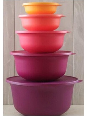 Esranın Dünyası Tupperware Aloha Set Saklama Kabı