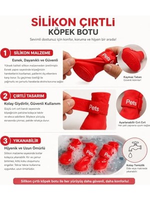 Odea Kedi ve Köpekler Için Parti Şapkası 2'li