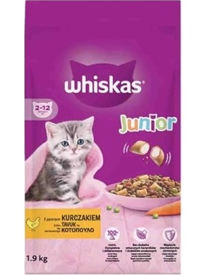 Odea Kedi Köpek Evcil Hayvan Taşıma Çantası Box Çok Fonksiyonlu (Lila, Orta)